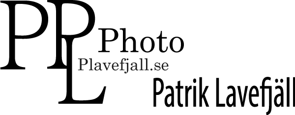 Patrik Lavefjäll